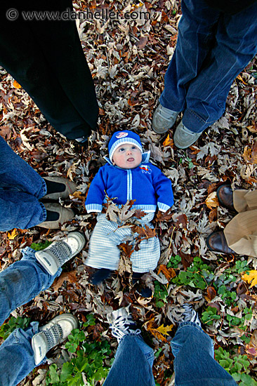 jack-in-leaves-3.jpg