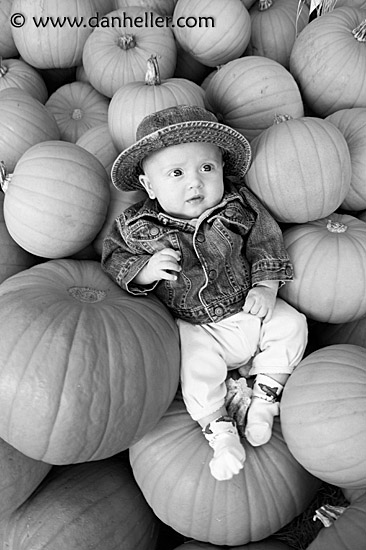 jack-pumpkins-2-bw.jpg