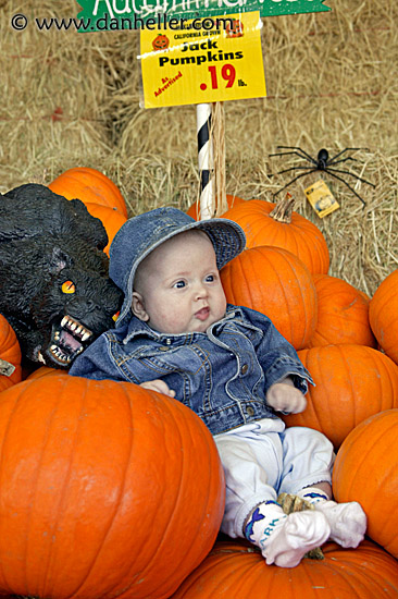 jack-pumpkins-8.jpg