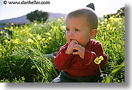 images/personal/Jack/JanFeb2005/jack-in-grass-3.jpg