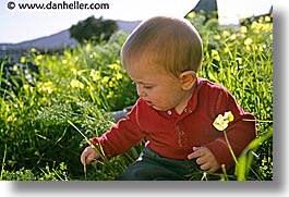 babies, boys, grass, horizontal, infant, jacks, jan feb, photograph