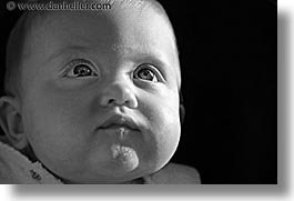 babies, black and white, boys, eyes, horizontal, infant, jacks, jan feb, photograph