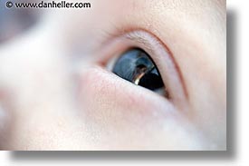 babies, boys, eyes, horizontal, infant, jacks, macro, photograph