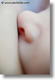 images/personal/Jack/Macro/nursing-nose-1.jpg