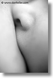 images/personal/Jack/Macro/nursing-nose-2-bw.jpg