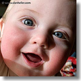 babies, boys, faces, infant, jacks, march, square format, photograph