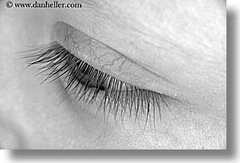 images/personal/Jack/May2005/jack-eye-close-up-bw.jpg