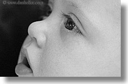 babies, black and white, boys, close, horizontal, infant, jacks, may, photograph