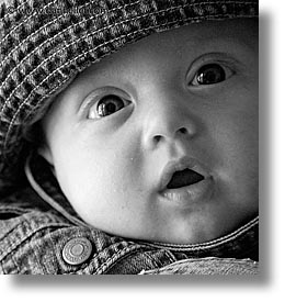 babies, black and white, boys, denim, infant, jacks, square format, photograph
