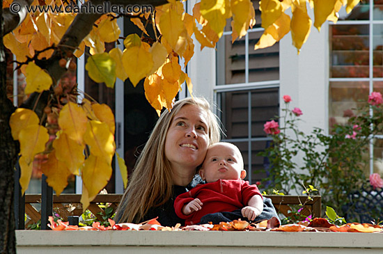 jnj-leafy-fence-5.jpg