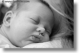 babies, black and white, boys, horizontal, infant, jacks, sleep, sleeping, snoozer, photograph