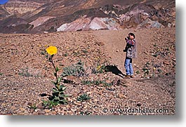 flowers, horizontal, personal, self-portrait, yellow, photograph